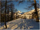 Planina Zajavornik - Debeli vrh above Lipanca